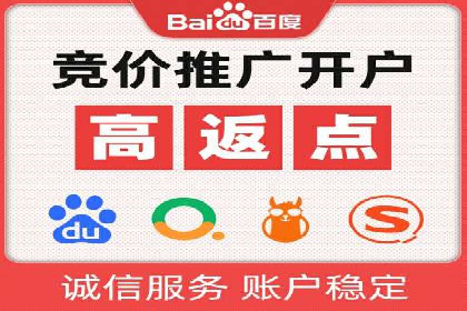 专业SEM托管服务，案例展示精准营销成果